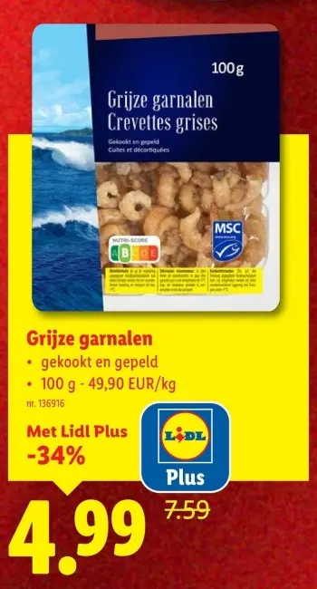 Promotie: Grijze garnalen
