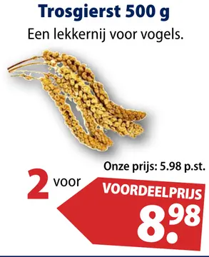 Aanbieding: Trosgierst