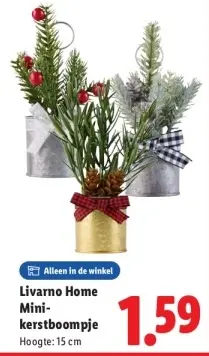 Aanbieding: Mini-kerstboompje