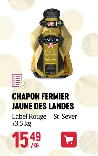 Offre: Chapon fermier jaune des landes