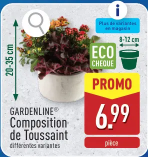 Offre: Composition de Toussaint