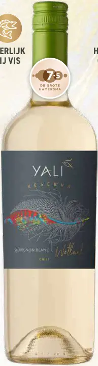 Aanbieding: Yali Reserva Wetland Sauvignon Blanc