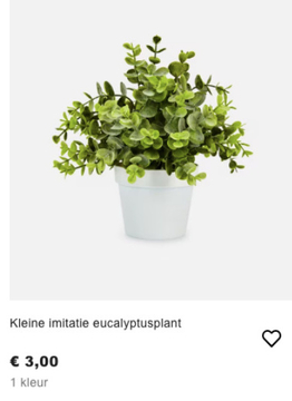 Aanbieding: Kleine imitatie eucalyptusplant