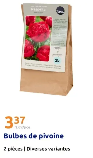 Offre: Bulbes de pivoine