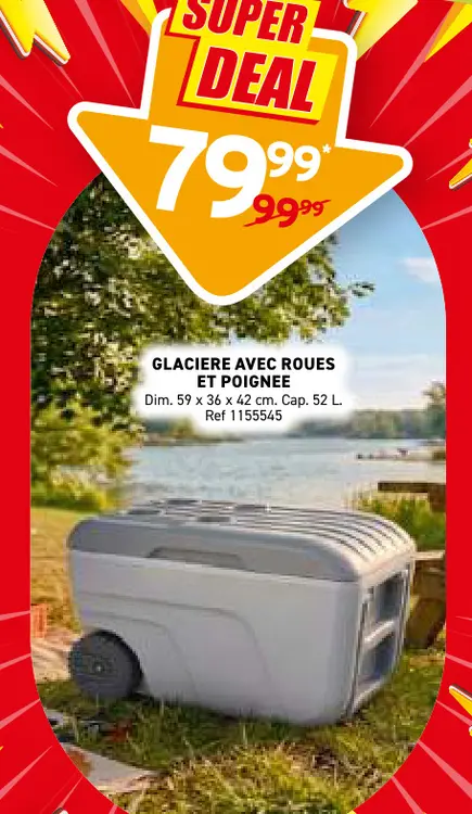 Offre: Glaciere avec roues et poignee
