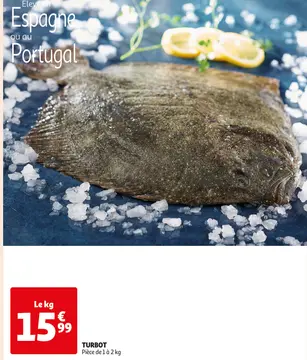 Offre: TURBOT