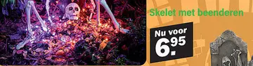 Aanbieding: Skelet met beenderen