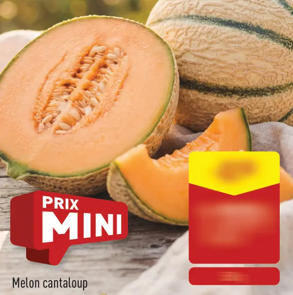 Offre: Melon cantaloup
