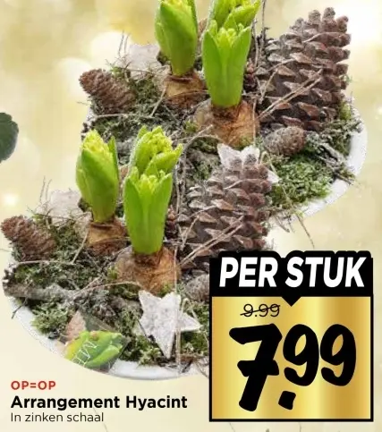 Aanbieding: Arrangement Hyacint