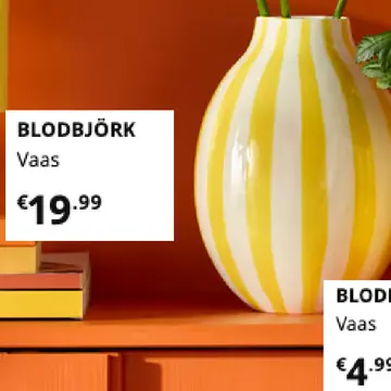 Aanbieding: BLODBJÖRK Vaas