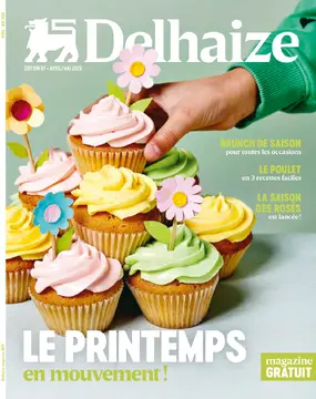 Delhaize couverture de brochure