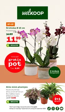 Welkoop folder voorblad