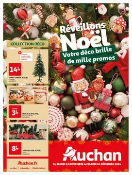 Auchan couverture de brochure