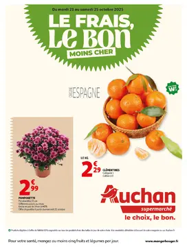 Auchan couverture de brochure