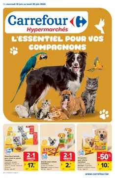 Carrefour couverture de brochure