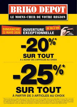 Briko Depot couverture de brochure