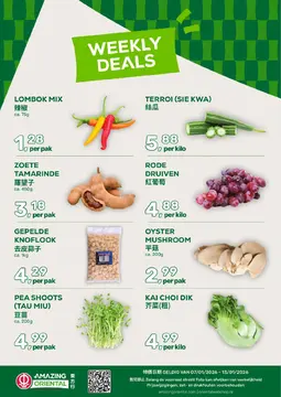 Amazing Oriental folder voorblad