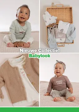 Babydump folder voorblad