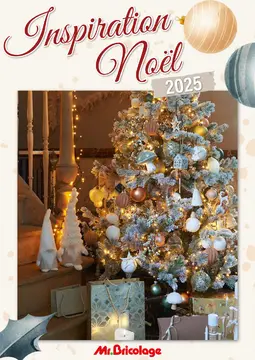 Mr.Bricolage couverture de brochure