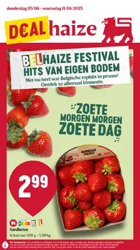 Delhaize folder voorblad