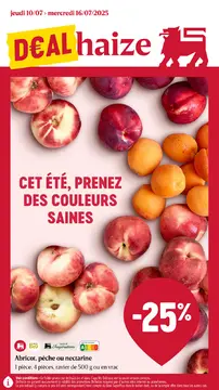 Delhaize couverture de brochure
