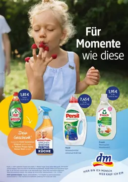 DM DE folder voorblad