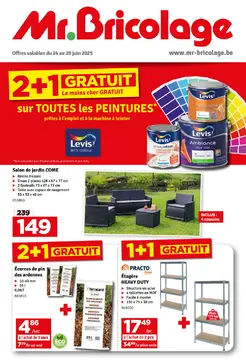 Mr Bricolage couverture de brochure