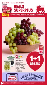 Delhaize couverture de brochure