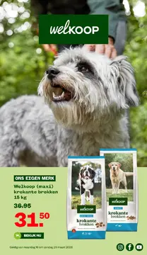 Welkoop folder voorblad