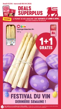 Delhaize couverture de brochure