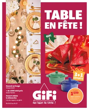 GiFi couverture de brochure
