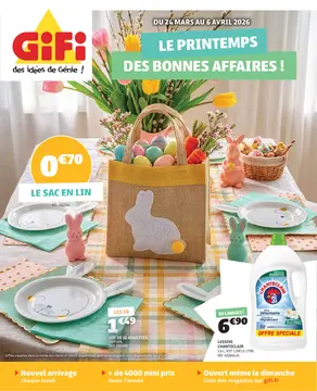 GiFi couverture de brochure