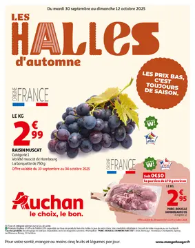 Auchan couverture de brochure