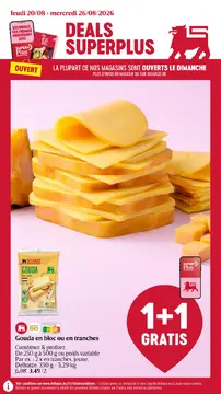 Delhaize couverture de brochure