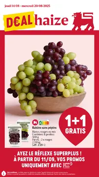 Delhaize couverture de brochure