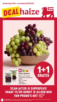 Delhaize folder voorblad