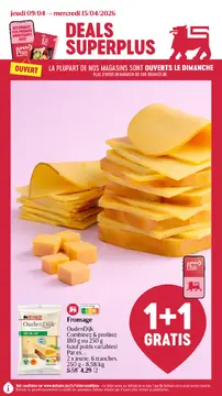 Delhaize couverture de brochure