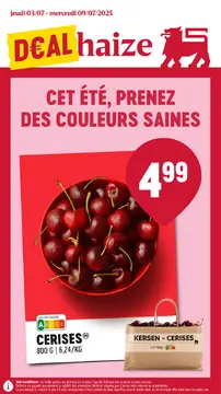 Delhaize couverture de brochure