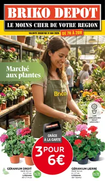Briko Depot couverture de brochure