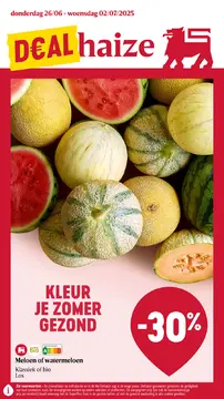 Delhaize folder voorblad