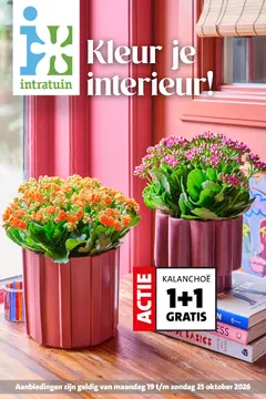 Intratuin folder voorblad