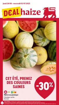 Delhaize couverture de brochure