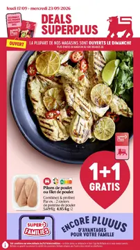 Delhaize couverture de brochure