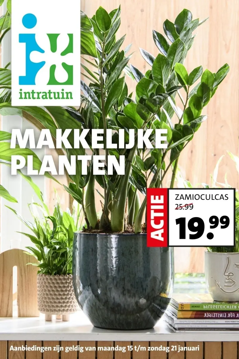 bowl planter Campania International Celine Planter
