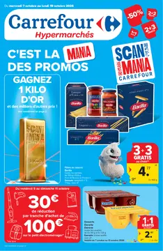 Carrefour couverture de brochure