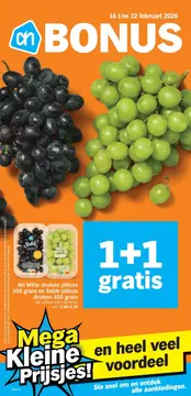 Albert Heijn folder voorblad