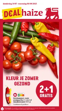 Delhaize folder voorblad