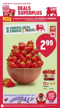 Delhaize couverture de brochure