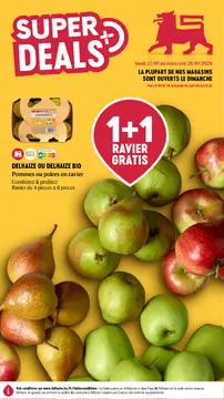 Delhaize couverture de brochure