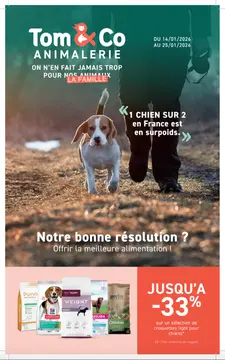 Tom & Co couverture de brochure